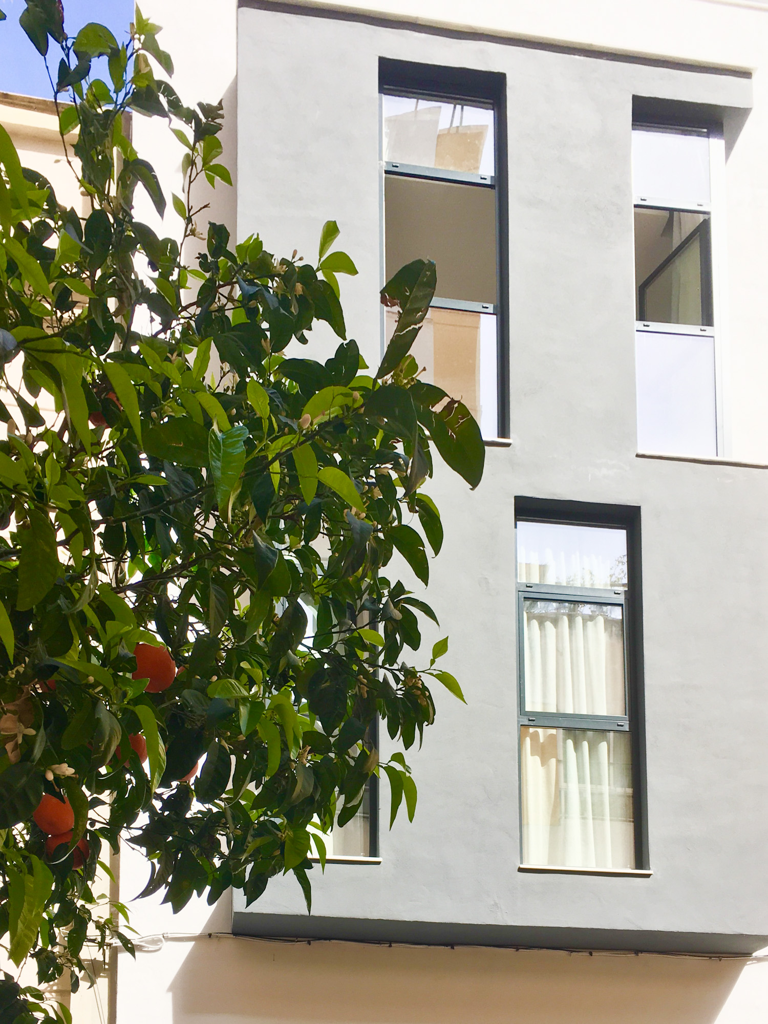 Holiday rental apartaments in Málaga. Apartments in the city center and El Palo beach. The best location in Málaga. - Picacho 1