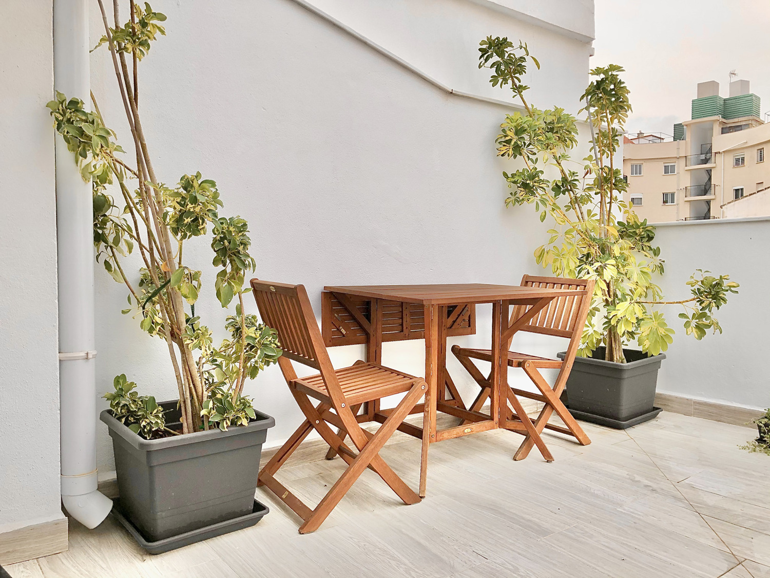 Holiday rental apartaments in Málaga. Apartments in the city center and El Palo beach. The best location in Málaga. - Picacho Atico