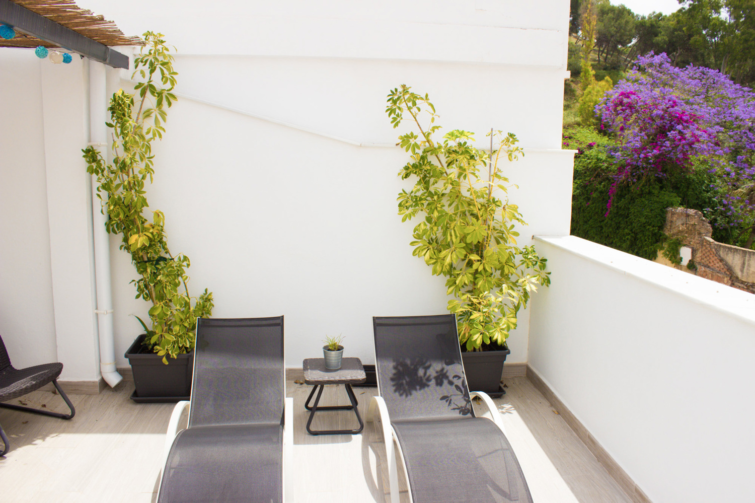 Holiday rental apartaments in Málaga. Apartments in the city center and El Palo beach. The best location in Málaga. - Picacho Atico