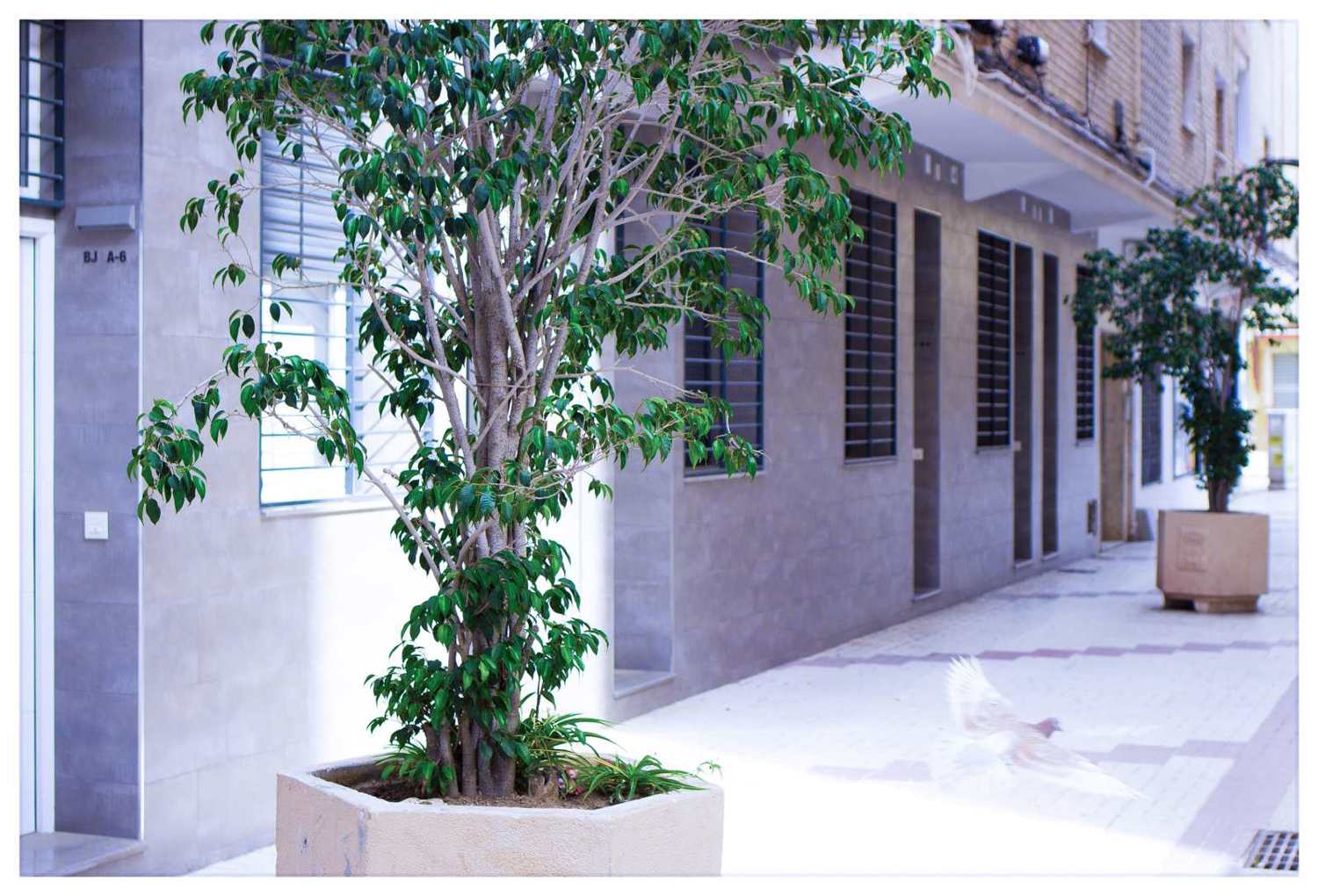 Holiday rental apartaments in Málaga. Apartments in the city center and El Palo beach. The best location in Málaga. - Estación Centro VIALIA 3