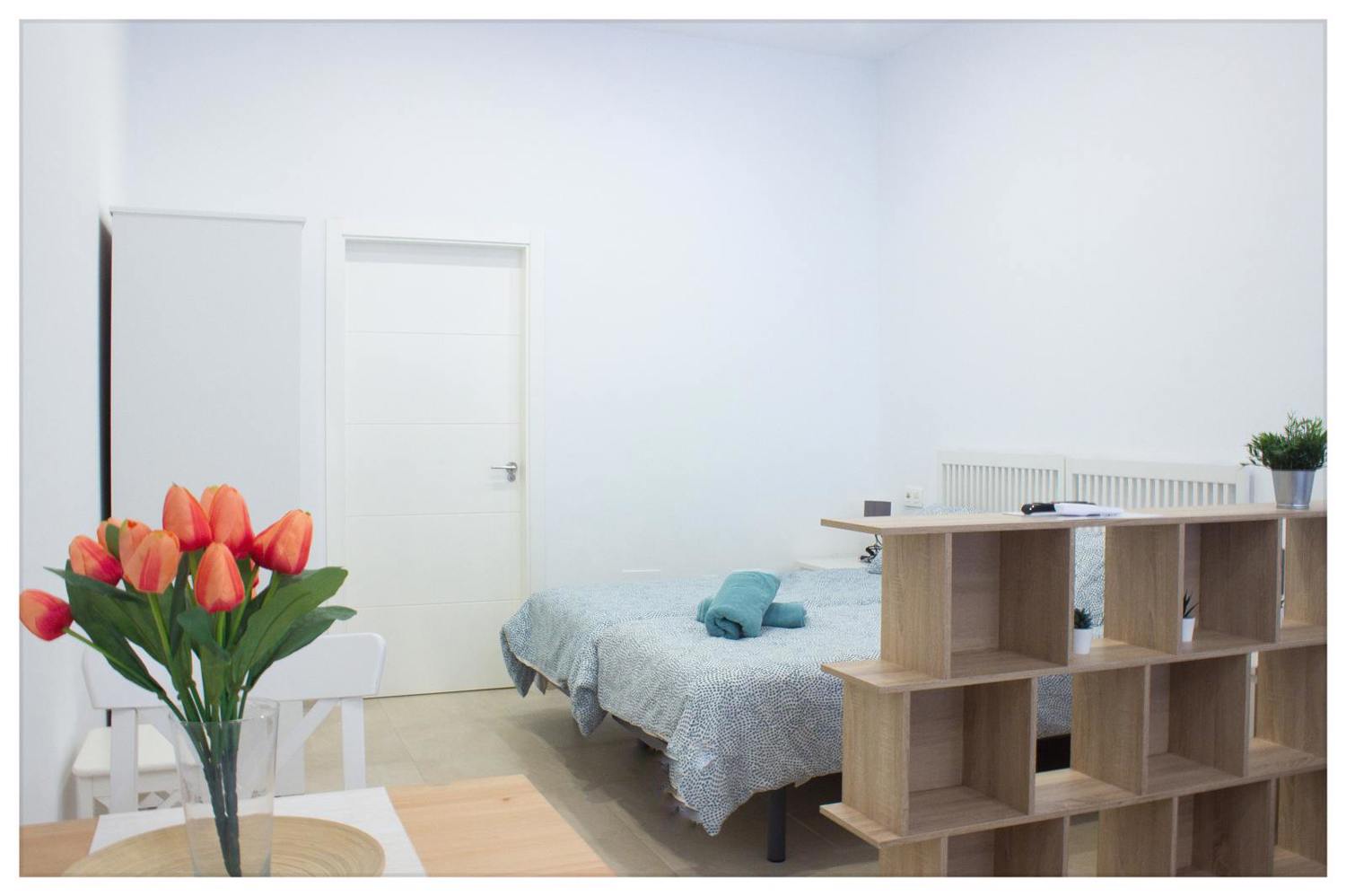 Holiday rental apartaments in Málaga. Apartments in the city center and El Palo beach. The best location in Málaga. - Estación Centro VIALIA 3