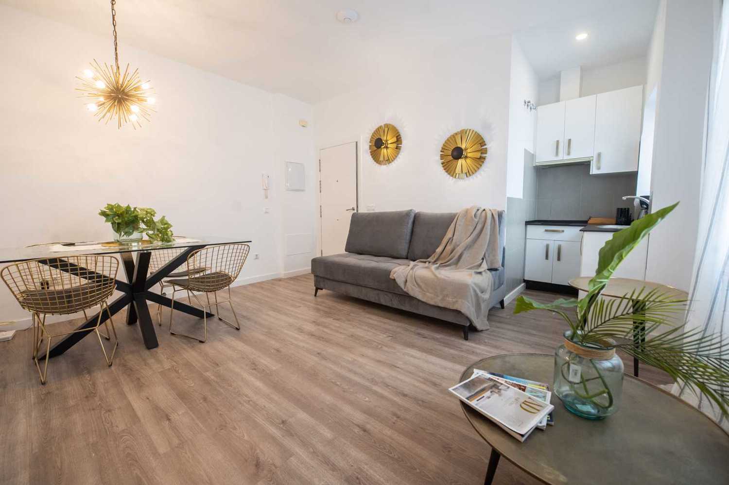 Disfruta de los mejores apartamentos vacacionales en Málaga. Visita Suites La Merced Apartamento 1B
