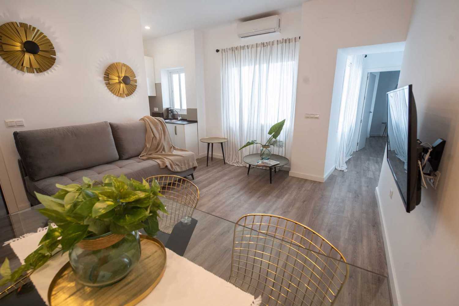 Apartamentos turísticos y vacacionales baratos en Málaga. Buenos precios en la zona de la playa, en El Palo y en la zona centro de la ciudad. Posibilidad de aparcamiento gratuito. - Suites La Merced Apartamento 1B