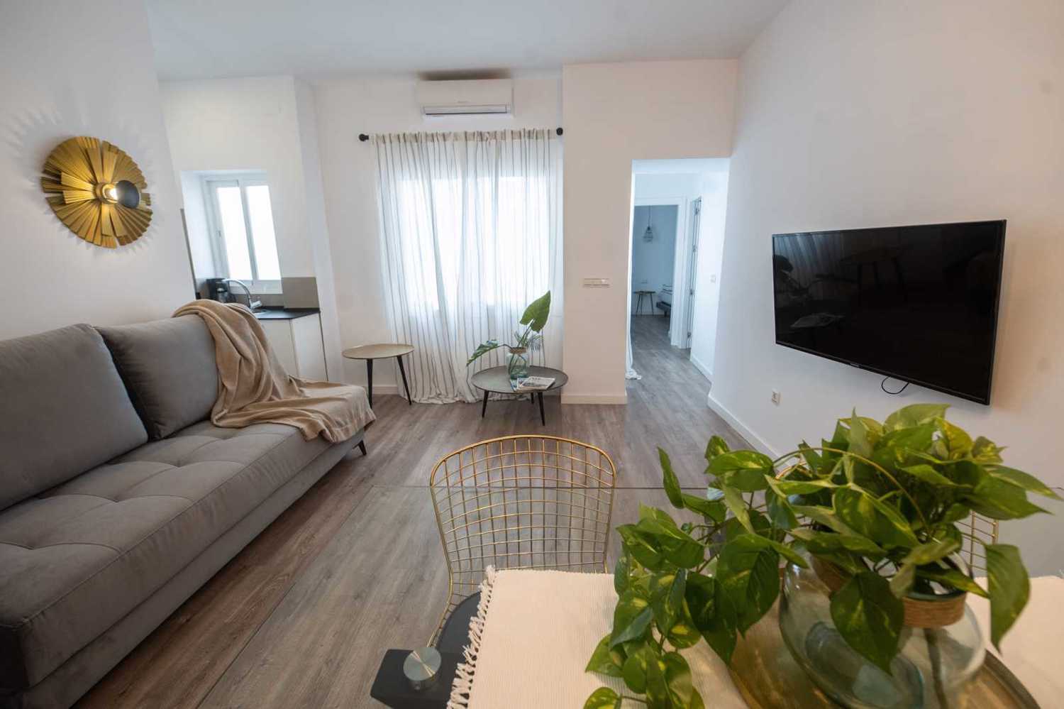 Apartamentos turísticos y vacacionales baratos en Málaga. Buenos precios en la zona de la playa, en El Palo y en la zona centro de la ciudad. Posibilidad de aparcamiento gratuito. - Suites La Merced Apartamento 1B