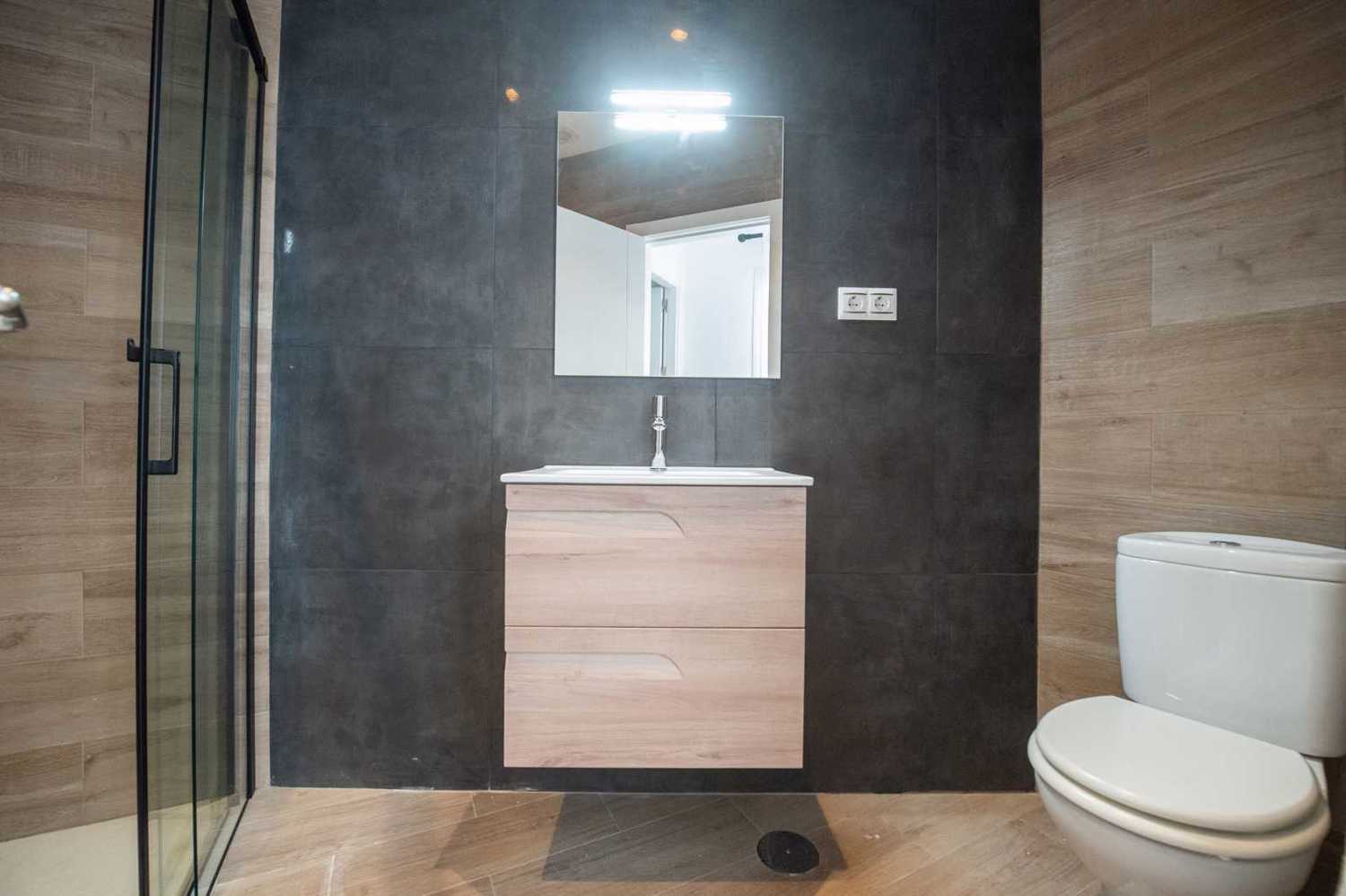 Apartamentos turísticos y vacacionales baratos en Málaga. Buenos precios en la zona de la playa, en El Palo y en la zona centro de la ciudad. Posibilidad de aparcamiento gratuito. - Suites La Merced Apartamento 1B