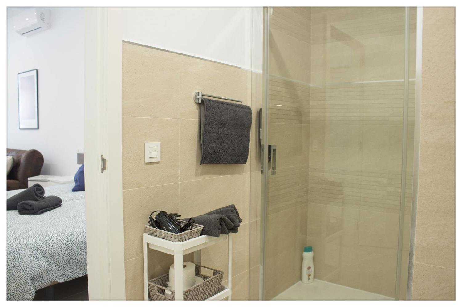 Holiday rental apartaments in Málaga. Apartments in the city center and El Palo beach. The best location in Málaga. - Estación Centro Vialia  6